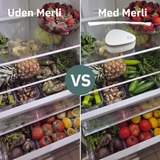 Merli 1.0